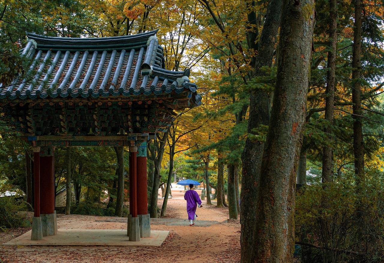 한국 비자 인터뷰 질문 리스트와 답변 팁